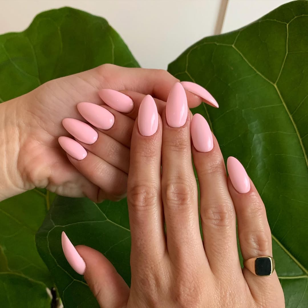 Chic Modern Pink Elegance